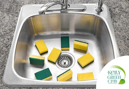 Kelly Green Club - Does boiling a sponge sanitize it